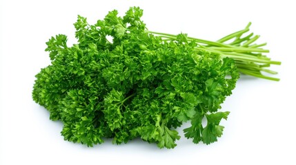 Fototapeta premium A bunch of fresh, aromatic basil leaves with their vibrant green color and smooth texture, Each leaf’s intricate details captured in high definition