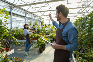 Male supervisor working in a greenhouse and looking positive
