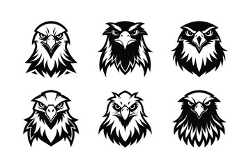 Golden Eagle (Aquila chrysaetos) mammal animal, labeled silhouette vector art illustration.