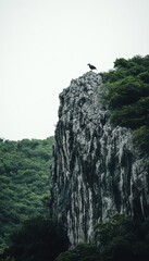 A lone bird perched atop a dramatic cliff overlooking lush green foliage.