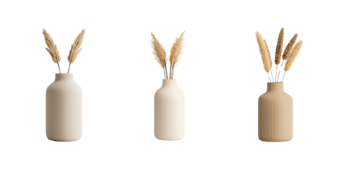A trio of stylish vases with decorative pampas grass, showcasing a minimalist aesthetic and natural elegance.