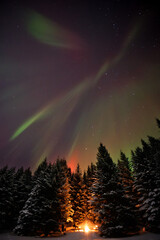 Aurora Boreal sobre una fogata en un bosque en Islandia