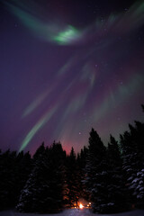 Aurora Boreal sobre una fogata en un bosque en Islandia