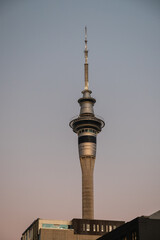 View of Sky Tower in Auckland as seen from the city during sunset at dusk (Auckland, North Island, New Zealand)