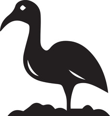 black swan isolated on white