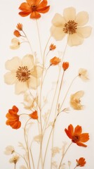 Real pressed chinese flower pattern petal plant