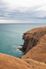 View of rugged coastline on the Banks Peninsula near Flea Bay as seen on a multi-day hike on Banks Track (Banks Peninsula, South Island, New Zealand)