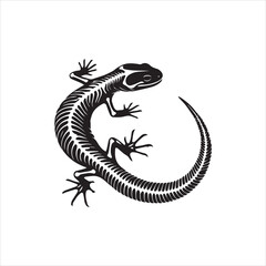 lizard isolated on white