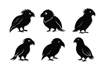 Kakapo (Strigops habroptilus) mammal animal, labeled silhouette vector art illustration.