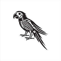 parrot on a white background