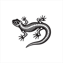 lizard on white background