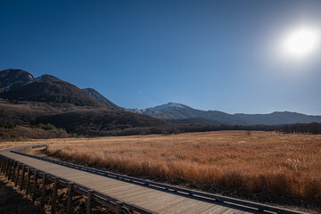 Fototapeta premium 白日
