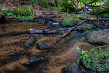 Creek of Moosalbe in Kalstalschlucht with small Waterfalls, Rhineland-Palatinate, Germany, Europe