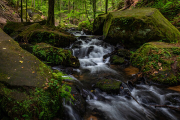 Obraz premium Creek of Moosalbe in Karlstalschlucht with small Waterfalls, Rhineland-Palatinate, Germany, Europe