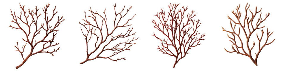 Obraz premium Bare and twisted tree branches forming abstract natural patterns in a minimalist monochrome style The skeletal gnarled silhouettes create an elegant organic