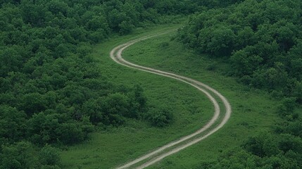 Winding country road through lush green forest. Travel, nature, scenic route, aerial view