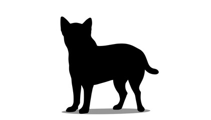 Silhouette of a dog standing against a plain background