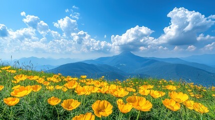 Obraz premium A vibrant field of yellow flowers against a backdrop of mountains and blue skies.