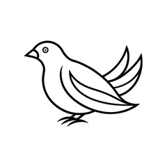 Fototapeta premium white dove isolated on white