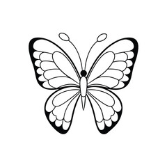 butterfly on a white background