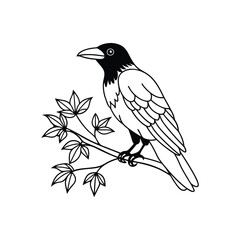 crow tree branch on white background.eps