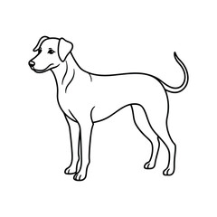 Dog line art.eps