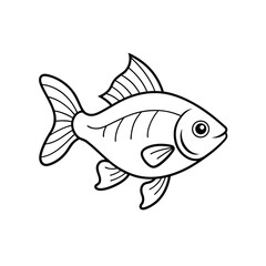 fish on white background