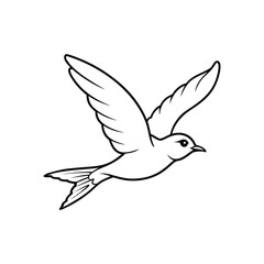 white dove flying