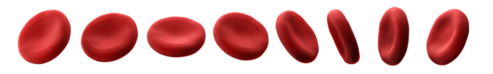 Red blood cell. Isolated. Transparent background. Set. Different angles. 3d illustration.