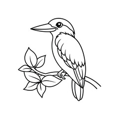 kingfisher on branch