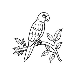 illustration of a bird