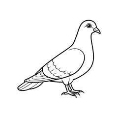 pigon line art.eps