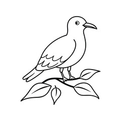 seagul bird line art.eps