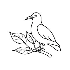 seagul bird line art.eps