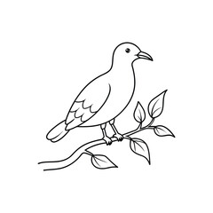 seagul bird line art.eps