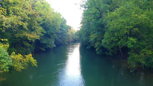 video de el rio isar en pleno verano, un bosque verde hermoso.