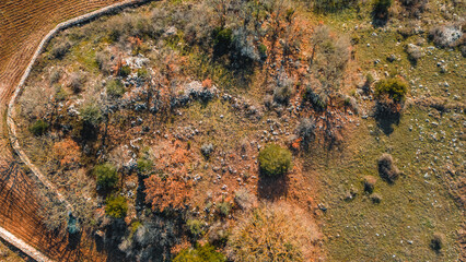 Aerial View of Ancient Ruins: An expansive aerial perspective captures the remnants of an ancient structure. Santeramo In Colle Bari, Puglia, Italia