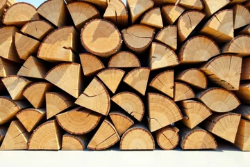  A neatly stacked pile of cut firewood logs, exhibiting the natural grain and texture of the wood, ready for use in a fireplace or wood stove during the cold winter season. © napak