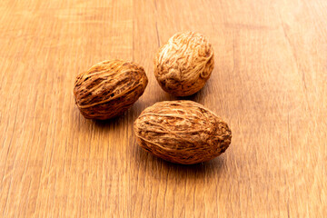 シアバターの実