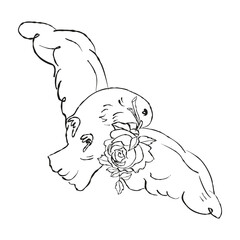  vector hand drawn celebration invitation graphic, cute cherub. Love line romantic dove