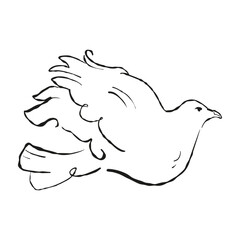  vector hand drawn celebration invitation graphic, cute cherub. Love line romantic dove