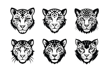 Leopard (Panthera pardus) mammal animal, labeled silhouette vector art illustration.