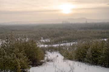 Mglisty wschód słońca nad lasem