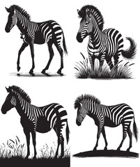 zabra, zabra silhouette, set of zabra silhouette