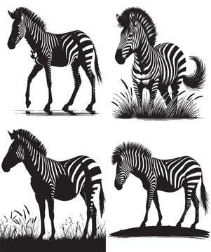 zabra, zabra silhouette, set of zabra silhouette