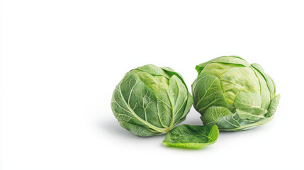 Fototapeta premium Two fresh green cabbages on white background isolated design