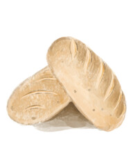 Delicious bread for breakfast illustration watercolor food