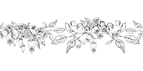 Blackberry blueberry with white bell flowers, plant leaves, hand drawn in ink vector, forest berry on branches. Seamless banner garland illustration for restaurant, cafe menu, wedding, farmers market © Elena
