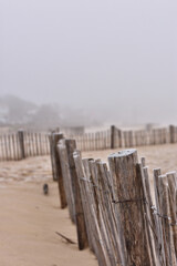 Une plage dans le brouillard