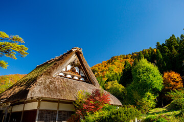 Shirakawa-go, Japan. Traditional wooden houses 